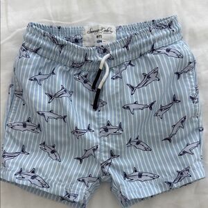 Baby swim trunks